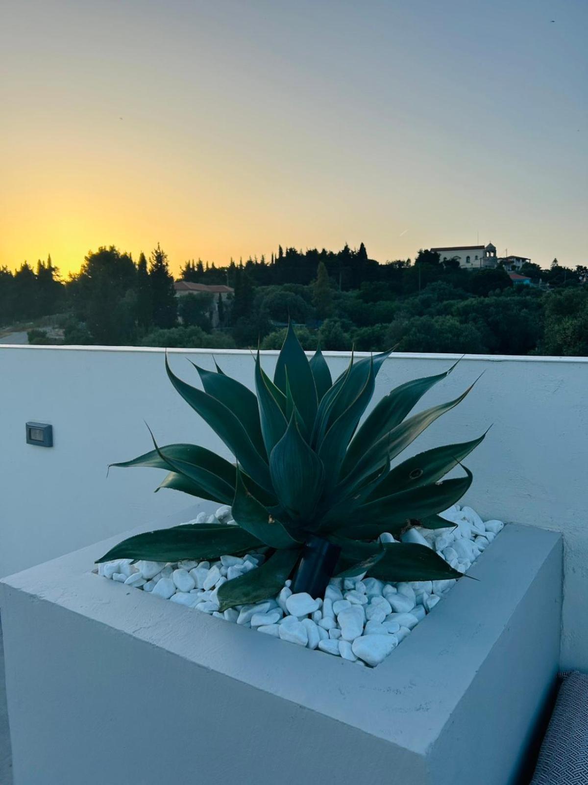 Agios Leon Luz Blanca 빌라 외부 사진